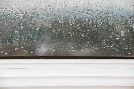 Window Glass Replacement Cost Guide