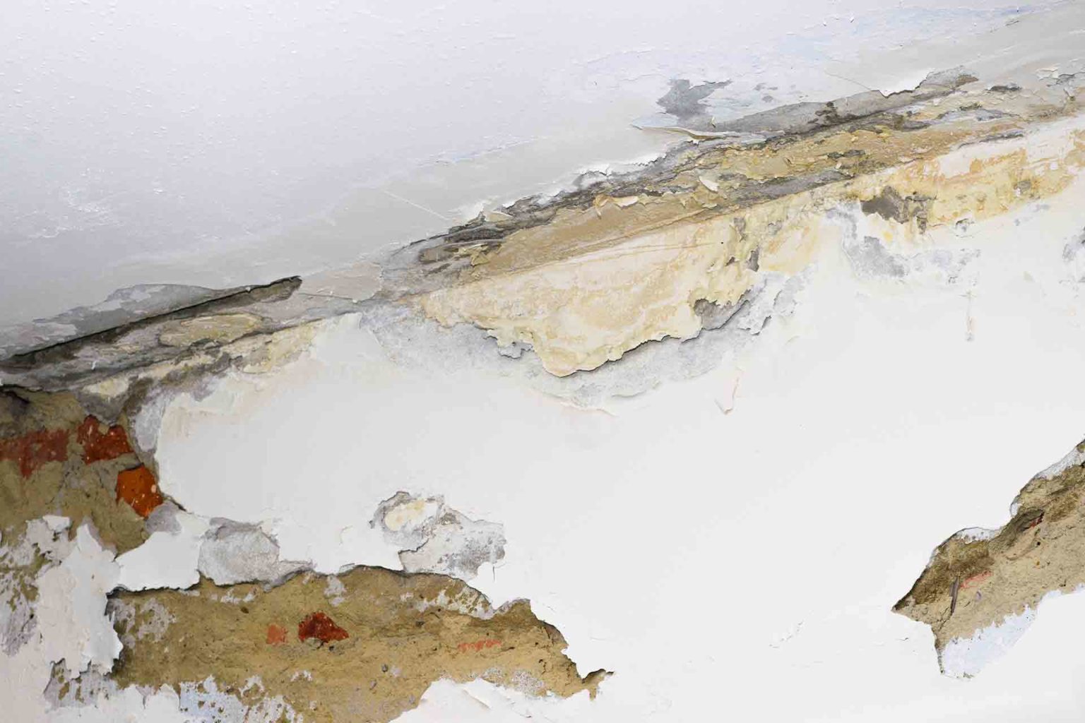 how-to-treat-damp-walls-before-painting-checkatrade