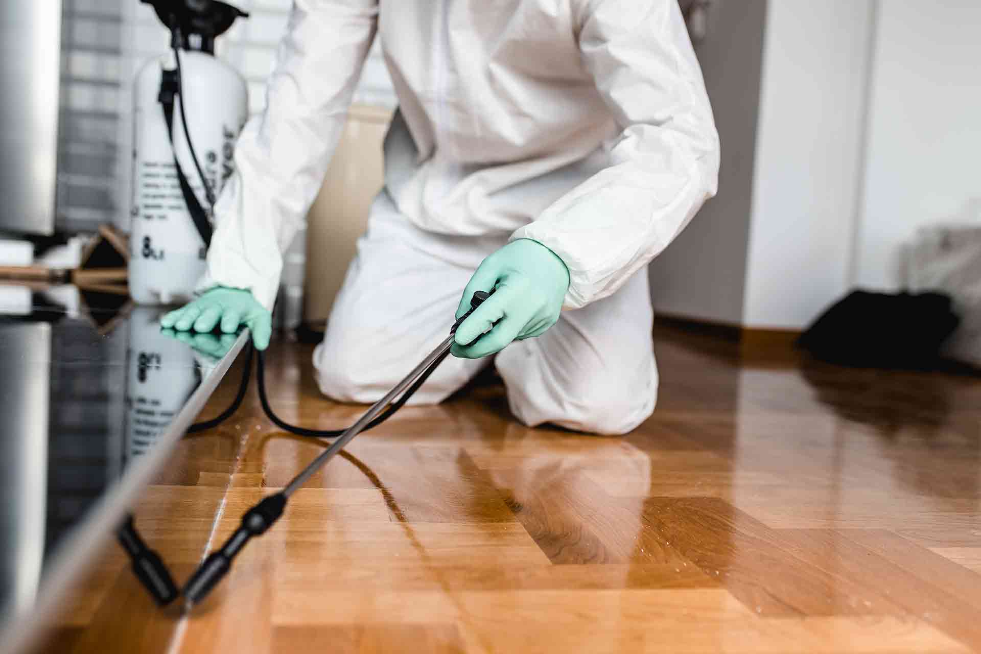 How To Start A Pest Control Business 